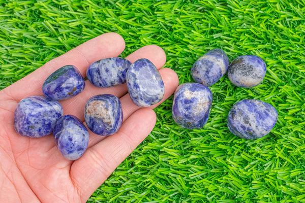 1 pc Natural Sodalite Medium Large Tumbled Stone- 0.8-1.5 inch