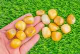 1 pc Natural Yellow Jade Medium Large Tumbled Stone- 0.8-1.5 inch