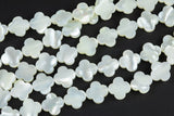 Mother Of Pearl - Clover Flower Beads- Special Shape AAA Quality Shell Beads