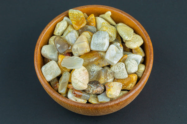 Natural Fossil Coral Tumbled Nuggets- 100 grams-3.5 ounces - 1/4 inch-3/4 inch Size- Roughly 100 pcs per bag