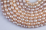 Peach 7x9mm Potato Pearl A Quality Round Freshwater Pearl- 15 inch strand