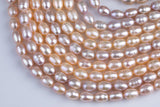 Peach 7x9mm Potato Pearl A Quality Round Freshwater Pearl- 15 inch strand