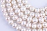 Natural 12-14mm High Quality Round Freshwater Pearl Jumbo Size AA Quality Gemstone Beads- 15 inch per strand
