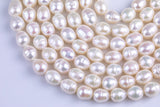 7*8mm Potato Nugget Pearl A Quality Round Freshwater Pearl