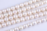 Natural 10-11mm High Quality Round Freshwater Pearl Jumbo Size AA Quality Gemstone Beads- 15 inch per strand