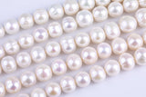 Natural 12-14mm High Quality Round Freshwater Pearl Jumbo Size AA Quality Gemstone Beads- 15 inch per strand