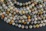 Natural Bamboo Agate, High Quality in Round- 6mm, 8mm 10mm, 12mm -Full Strand 15.5 inch Strand Smooth Gemstone Beads