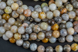 Natural Bamboo Agate, High Quality in Round- 6mm, 8mm 10mm, 12mm -Full Strand 15.5 inch Strand Smooth Gemstone Beads