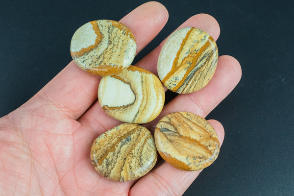 Natural Picture Jasper Small Flat Disk Pieces Healing Stones about 1" across Pre-charged