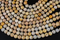 Natural fossil coral, High Quality in round, 4-14mm AAA Quality AAA Quality Smooth Gemstone Beads