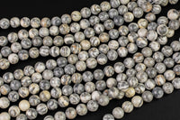 Natural Black White Jasper, High Quality in Smooth Round-6mm and 8mm- - Full 15.5 Inch Strand Gemstone Beads