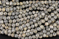 Natural Black White Jasper, High Quality in Smooth Round-6mm and 8mm- - Full 15.5 Inch Strand Gemstone Beads