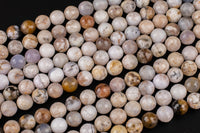 Natural Smokey Dentrite Agate Opal- Faceted Round sizes 6mm and 8mm Smooth Gemstone Beads