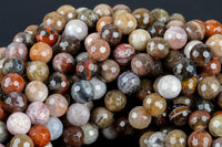 Natural AAA Petrified Wood Faceted Round High Quality 6mm 8mm 10mm 12mm Full Strand AA Quality AAA Quality Gemstone Beads