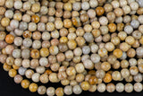 Natural fossil coral, High Quality in round, 4-14mm AAA Quality AAA Quality Smooth Gemstone Beads