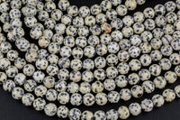 Natural Dalmatian Jasper Beads Smooth Round High Quality 4mm, 6mm, 8mm, 10mm- Full 15.5 Inch Strand- AAA Quality Smooth Gemstone Beads