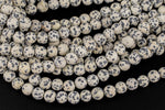 Natural Dalmatian Jasper, High Quality in Matte Round, 4mm, 6mm, 8mm, 10mm, 12mm- Full 16 inch Strand AAA Quality Gemstone Beads