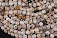 Natural Smokey Dentrite Agate Opal- Faceted Round sizes 6mm and 8mm Smooth Gemstone Beads