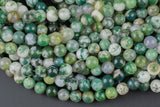 Natural Tree Agate Beads AAA Grade Round - 4mm, 6mm, 10mm, 12mm AAA Quality Smooth Gemstone Beads