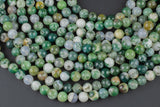 Natural Tree Agate Beads AAA Grade Round - 4mm, 6mm, 10mm, 12mm AAA Quality Smooth Gemstone Beads