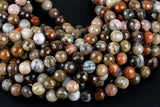 Natural AAA Petrified Wood Faceted Round High Quality 6mm 8mm 10mm 12mm Full Strand AA Quality AAA Quality Gemstone Beads
