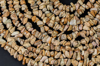 30"-32" Natural Picture Jasper Chips Beads 6mm - 8mm - 32 inch Strand Gemstone Beads