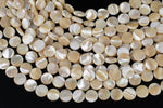 Natural Mother of Pearl, Coin 10mm- Full 15.5 inch strand Gemstone Beads Shell Beads