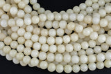 Natural Bodhi Seed Matte Round Full Strand- 15.5 Inch long Gemstone Beads