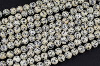 Natural Dalmatian Jasper Beads Smooth Round High Quality 4mm, 6mm, 8mm, 10mm- Full 15.5 Inch Strand- AAA Quality Smooth Gemstone Beads