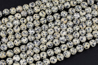 Natural Dalmatian Jasper Beads Smooth Round High Quality 4mm, 6mm, 8mm, 10mm- Full 15.5 Inch Strand- AAA Quality Smooth Gemstone Beads
