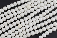 Natural White Coral, High Quality in Round, 4mm, 6mm, 8mm, 10mm, 12mm-Full Strand 15.5 inch Strand Smooth Gemstone Beads