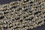 30"-32" Natural Dalmatian Jasper Chips Beads 6mm - 8mm - 32 inch Strand Gemstone Beads