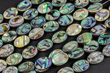 Natural Abalone Flat Oval Beads. A Quality 15.5 inch strand Gemstone Beads