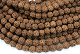 Natural Rudraksha Beads- 7mm 8mm, 9mm, 10mm- Wholesale Bulk or Single Strands!- Full 15.5 Inch Strand Gemstone Beads