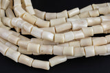 Natural White Cream Bamboo Coral Natural Barrel Shaped Beads. Medium Size- 8x11-15mm-15.5 inch strand Gemstone Beads