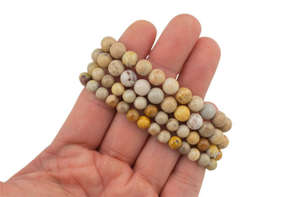 Natural Fossil Coral Bracelet Smooth Round Size 6mm and 8mm- Handmade In USA- approx. 7" Bracelet Crystal Bracelet