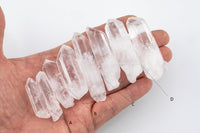 ONE POUND Natural Quartz Crystal Points Shards A+ Large Quartz Needle Points (Raw Quartz Crystals for Jewelry, Crystal Grids, Meditation)