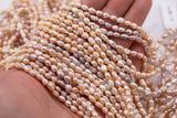 Natural Freshwater Pearl Light Peacock Small Potato Seed Pearls 5x6mm