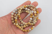 Natural Fossil Coral Bracelet Smooth Round Size 6mm and 8mm- Handmade In USA- approx. 7" Bracelet Crystal Bracelet
