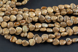 Natural Picture Jasper-Heart Shape-10mm-Special Shape- Full Strand Gemstone Beads