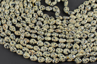 Natural Dalmatian Jasper -Heart Shape-8x10mm-Special Shape- Full Strand Gemstone Beads