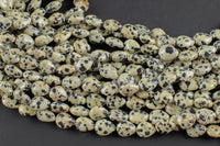 Natural Dalmatian Jasper -Heart Shape-8x10mm-Special Shape- Full Strand Gemstone Beads