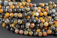 Natural Petrified Wood- Hexagon Shape- Grade A High Quality- 8mm and 10mm- Full Strand 16" AAA Quality Gemstone Beads
