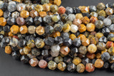 Natural Petrified Wood- Hexagon Shape- Grade A High Quality- 8mm and 10mm- Full Strand 16" AAA Quality Gemstone Beads