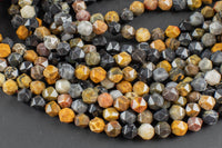 Natural Petrified Wood- Hexagon Shape- Grade A High Quality- 8mm and 10mm- Full Strand 16" AAA Quality Gemstone Beads