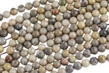 Natural fossil coral, High Quality in round, 4-14mm AAA Quality AAA Quality Smooth Gemstone Beads