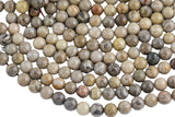 Natural fossil coral, High Quality in round, 4-14mm AAA Quality AAA Quality Smooth Gemstone Beads