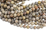 Natural fossil coral, High Quality in round, 4-14mm AAA Quality AAA Quality Smooth Gemstone Beads