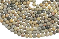 Natural fossil coral, High Quality in Faceted round, 4mm, 6mm, 8mm, 10mm, 12mm, 14mm- Full 15.5 Inch Strand Gemstone Beads