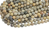 Natural fossil coral, High Quality in Faceted round, 4mm, 6mm, 8mm, 10mm, 12mm, 14mm- Full 15.5 Inch Strand Gemstone Beads